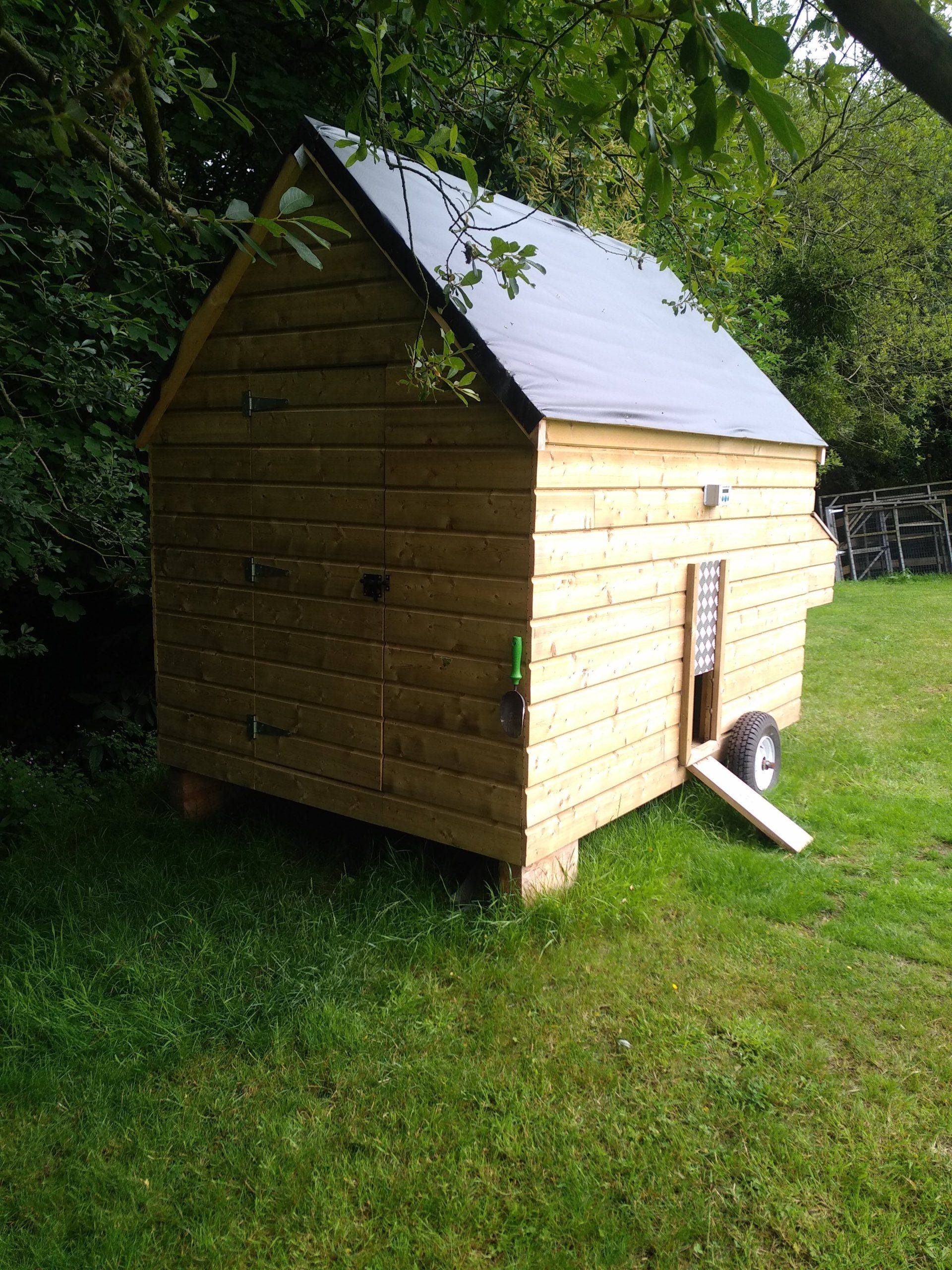Tiny_poule-1920w